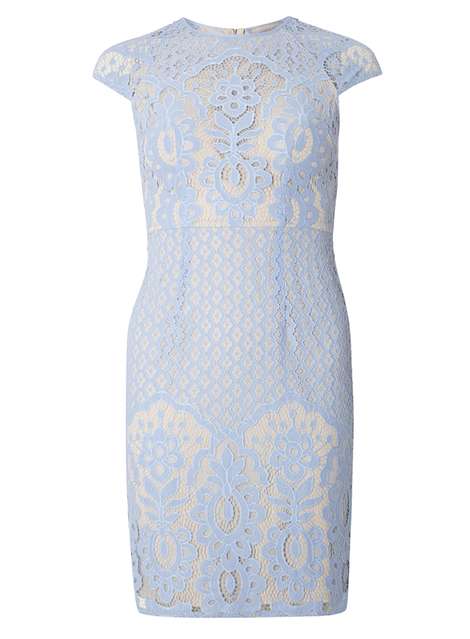Petite Blue Lace Fitted Dress